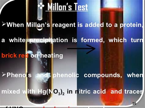 millions test|Millon's reagent .